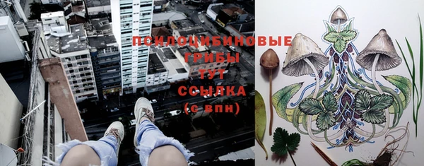 соль ск Александровское