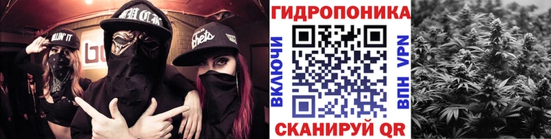 цены наркотик  hydra рабочий сайт  Шишки марихуана индика  Новотроицк 